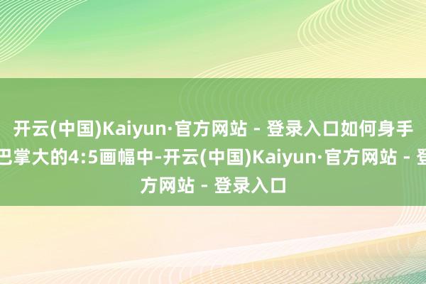 开云(中国)Kaiyun·官方网站 - 登录入口如何身手在只