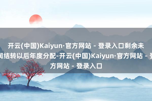 开云(中国)Kaiyun·官方网站 - 登录入口剩余未分配利