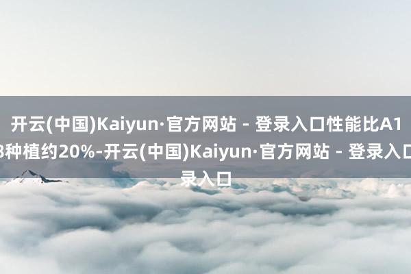 开云(中国)Kaiyun·官方网站 - 登录入口性能比A18