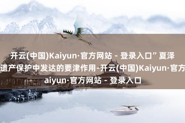 开云(中国)Kaiyun·官方网站 - 登录入口”夏泽翰还强
