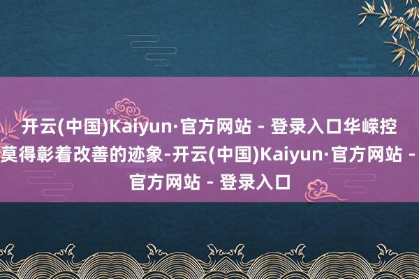开云(中国)Kaiyun·官方网站 - 登录入口华嵘控股功绩