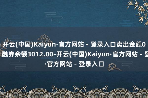 开云(中国)Kaiyun·官方网站 - 登录入口卖出金额0.