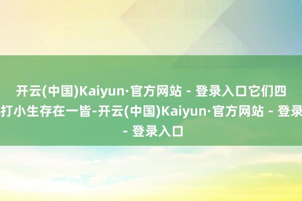 开云(中国)Kaiyun·官方网站 - 登录入口它们四小只打小生存在一皆-开云(中国)Kaiyun·官方网站 - 登录入口