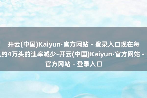 开云(中国)Kaiyun·官方网站 - 登录入口现在每月牛群以约4万头的速率减少-开云(中国)Kaiyun·官方网站 - 登录入口